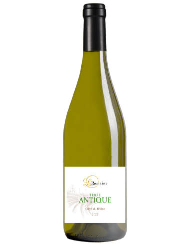 Terre Antique blanc 2023 - AOP Côtes du Rhône